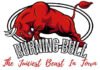 BURNING BULL BFD LIMITED